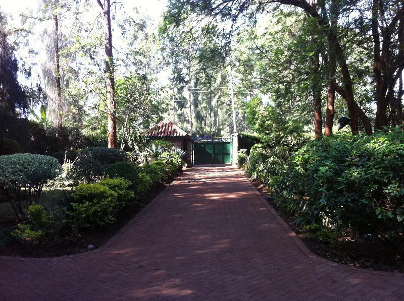 Milimani Backpackers Hostel Nairobi Kültér fotó