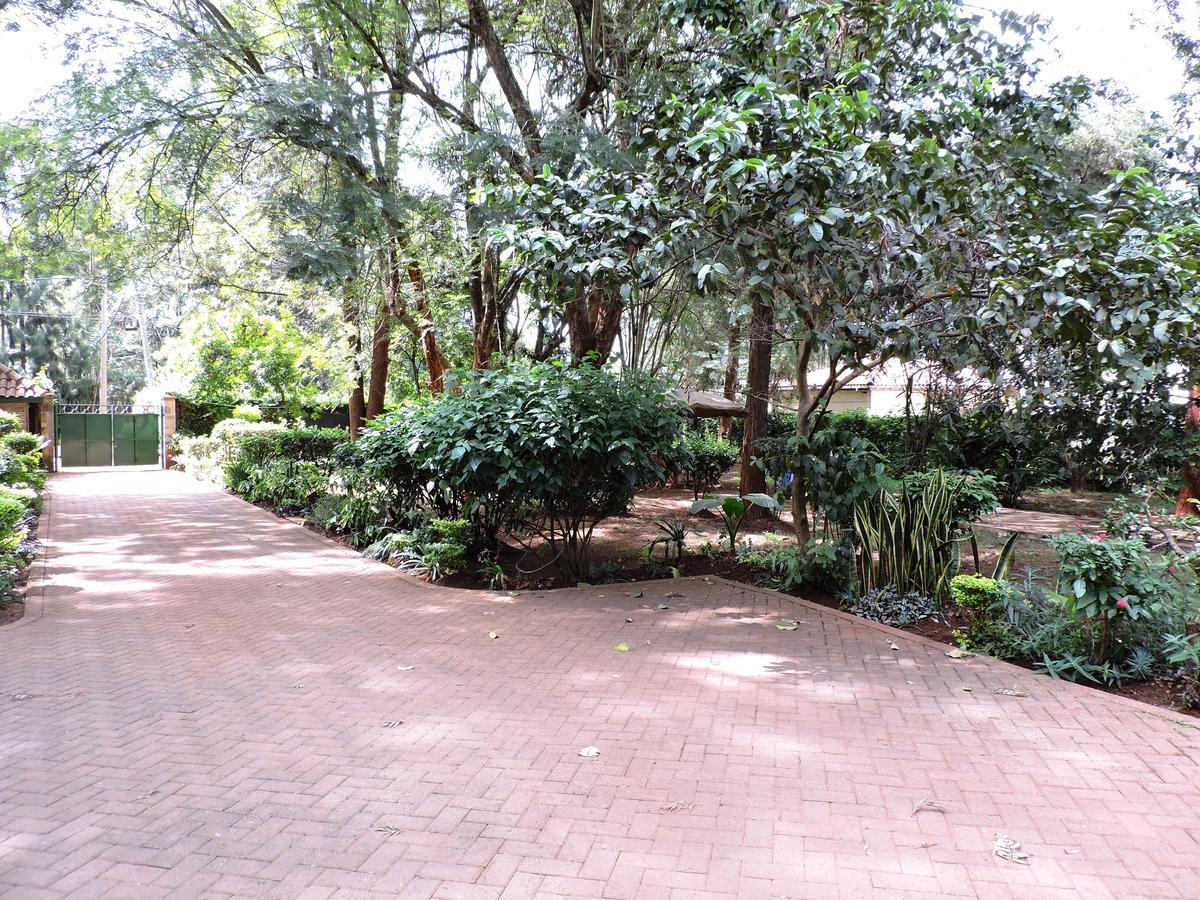 Milimani Backpackers Hostel Nairobi Kültér fotó