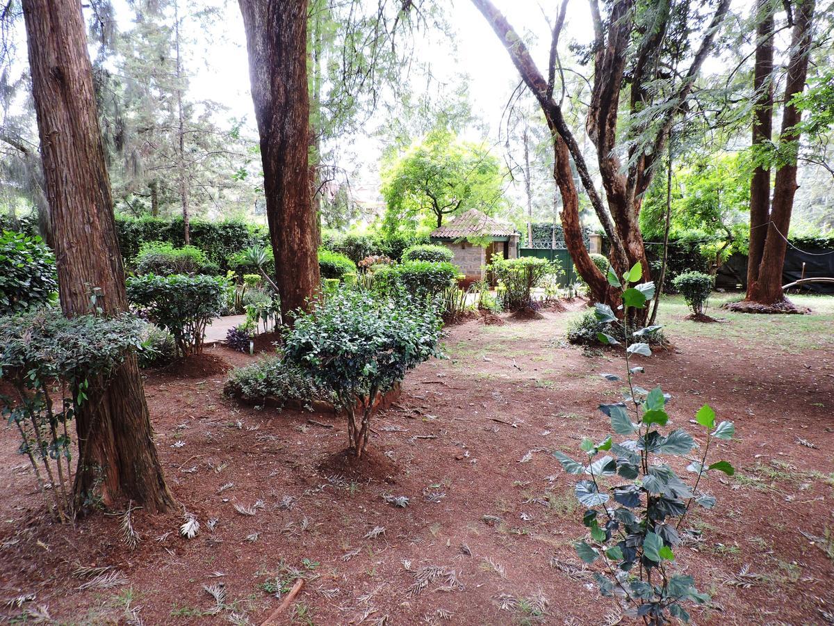 Milimani Backpackers Hostel Nairobi Kültér fotó