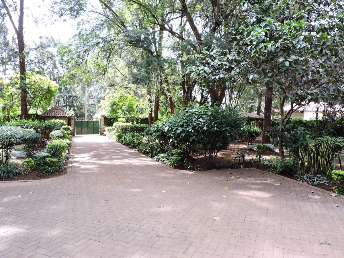 Milimani Backpackers Hostel Nairobi Kültér fotó